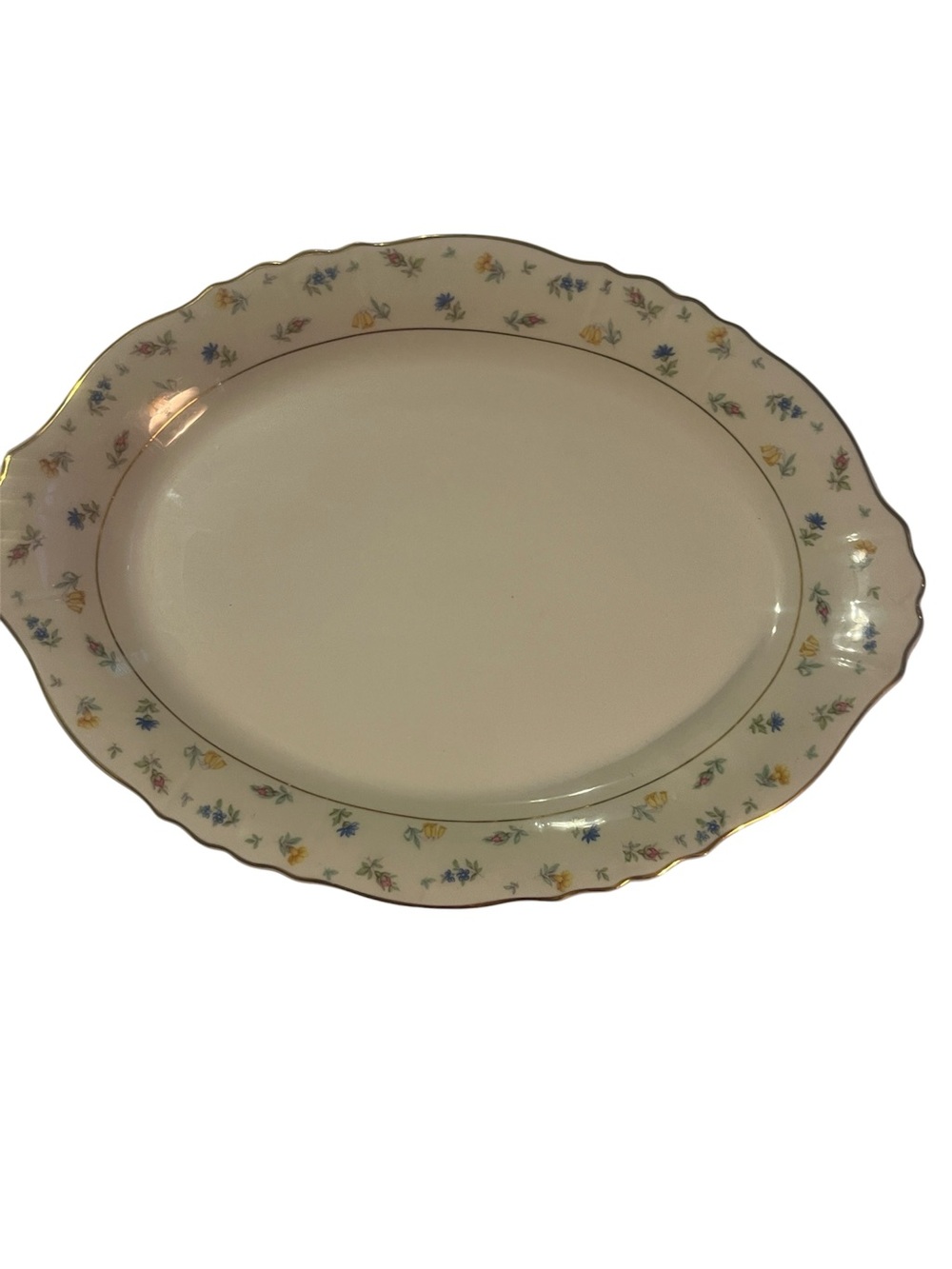 Vintage Syracuse China Porcelain Suzanne 16” Oval Platter Federal Shape Gold